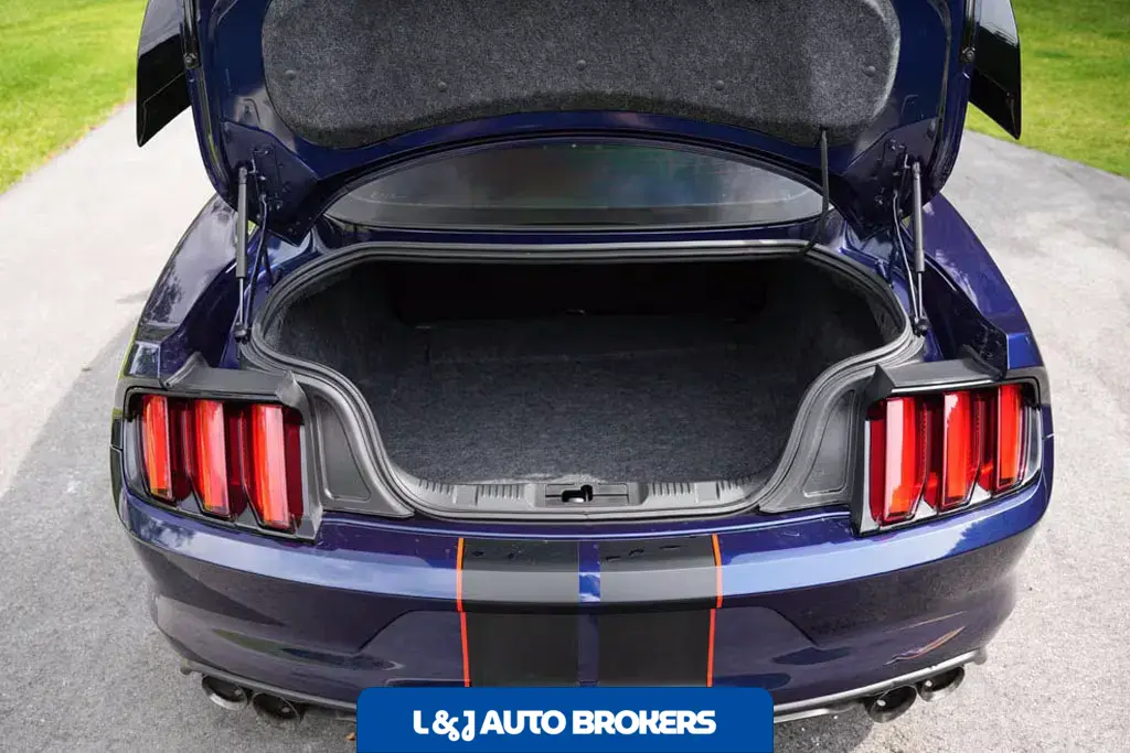 2018 Ford Mustang Shelby GT350R