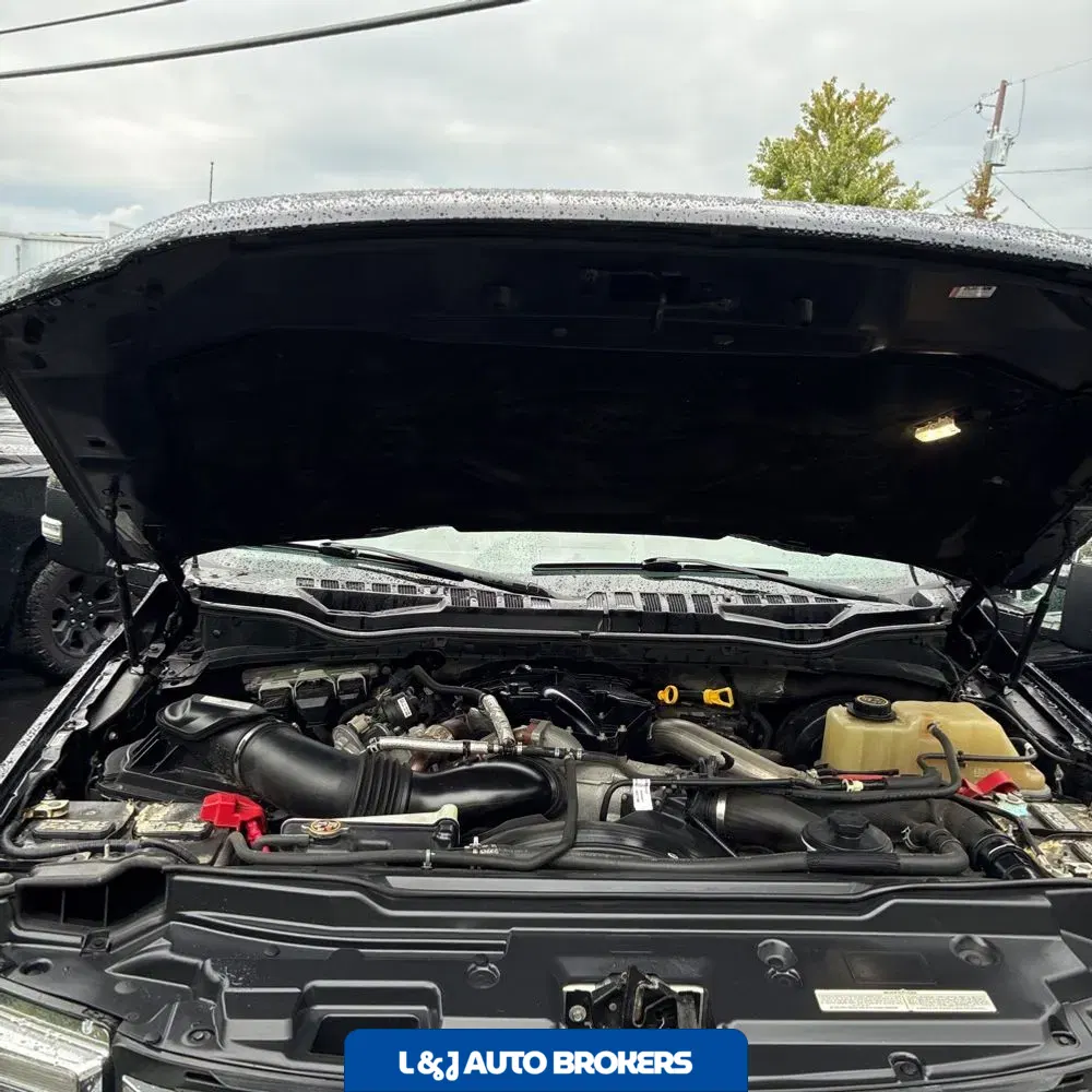 2019 Ford F250 S/D Platinum