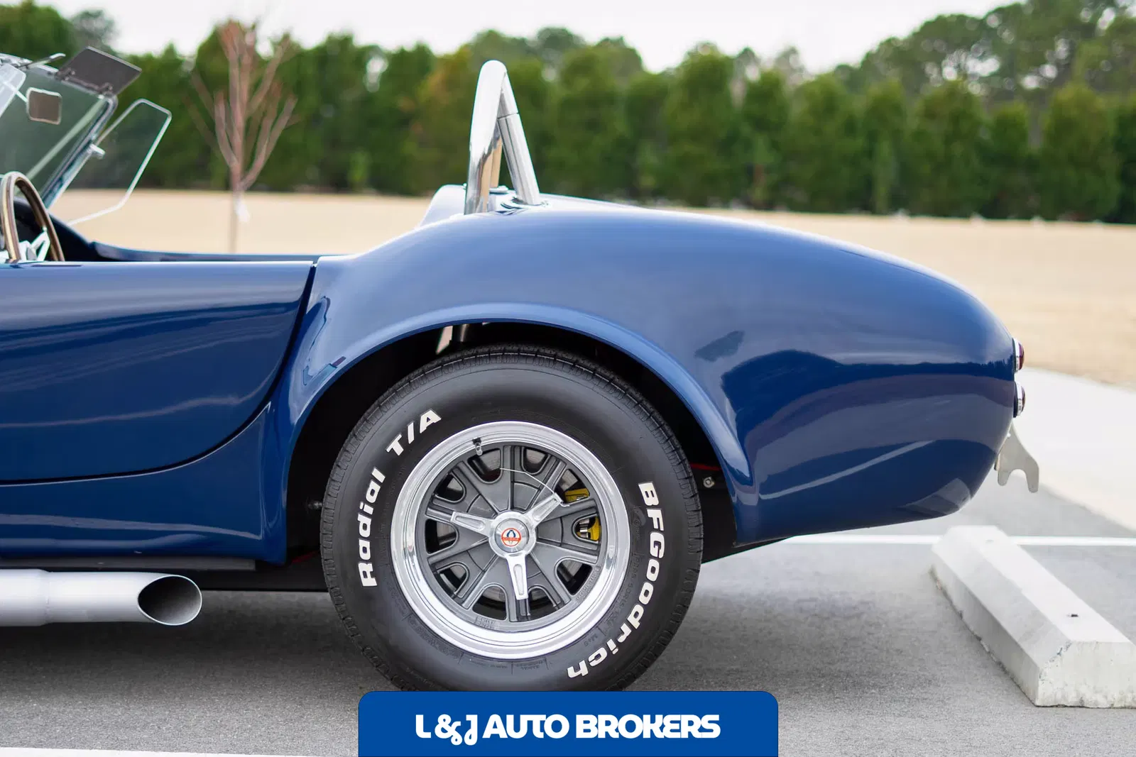 1967 Shelby Cobra Replica
