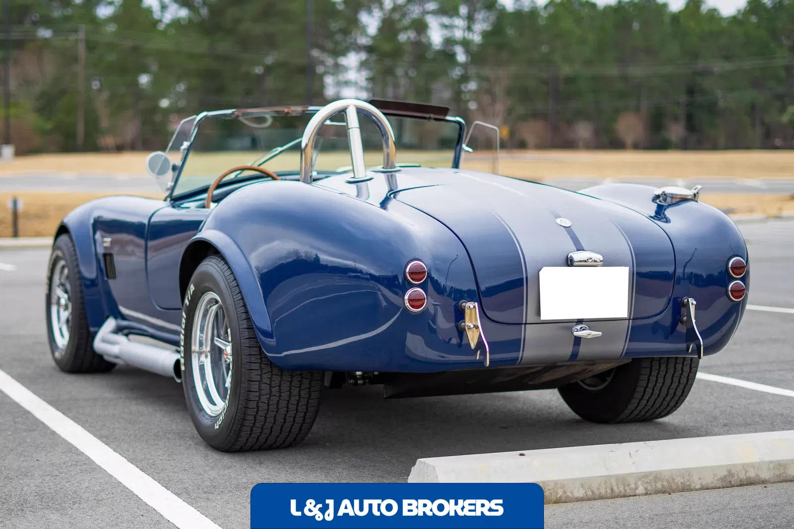 1967 Shelby Cobra Replica