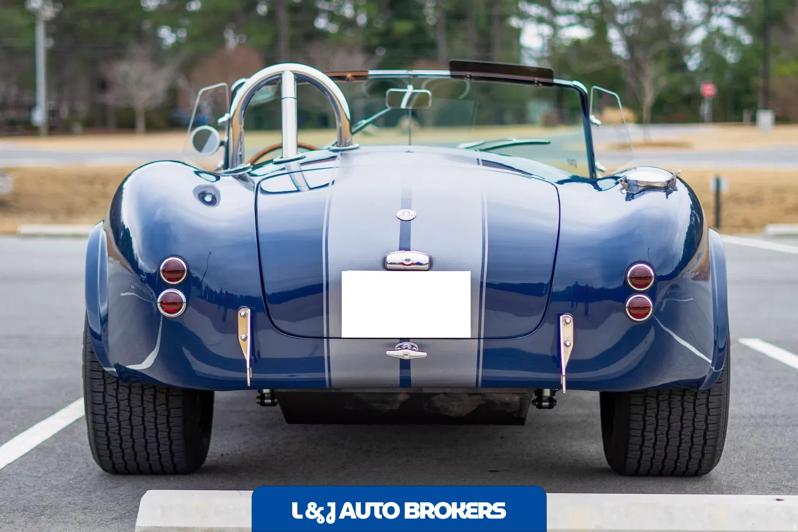1967 Shelby Cobra Replica