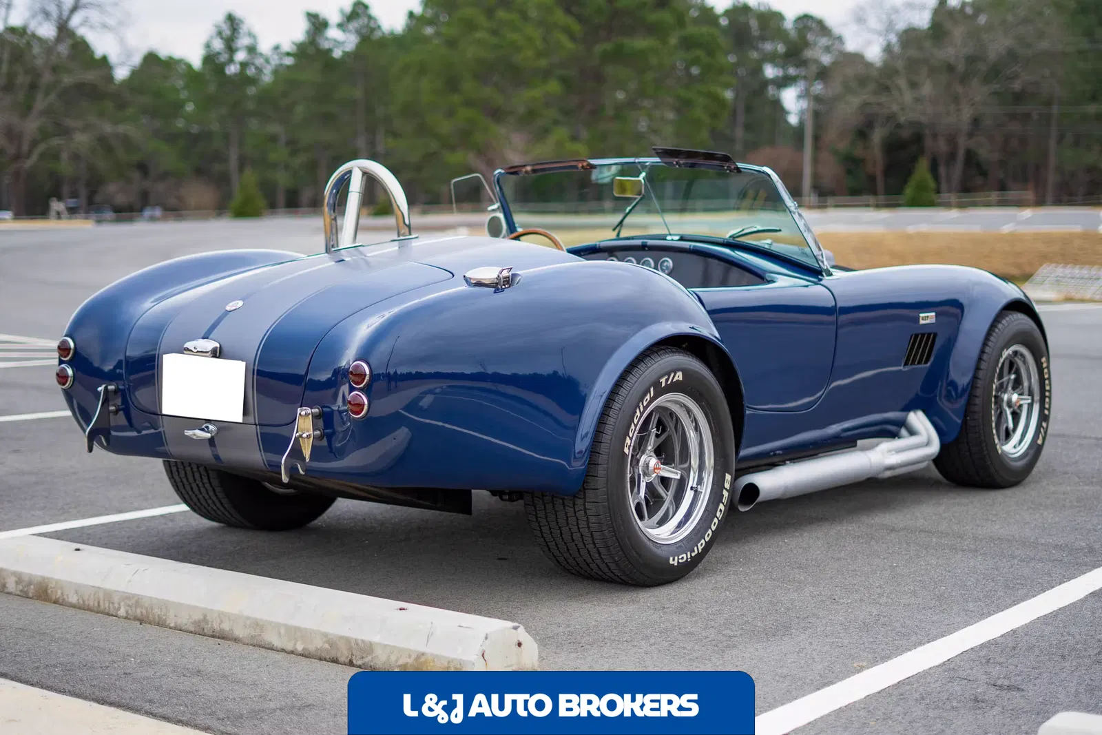 1967 Shelby Cobra Replica