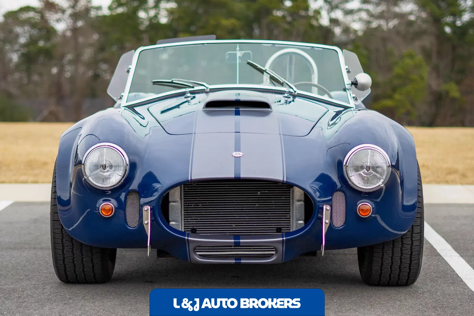 1967 Shelby Cobra Replica