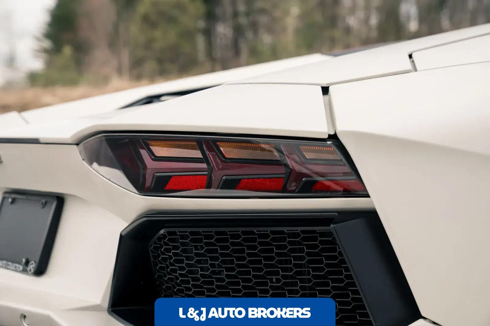 2014 Lamborghini Aventador LP700-4 Roadster
