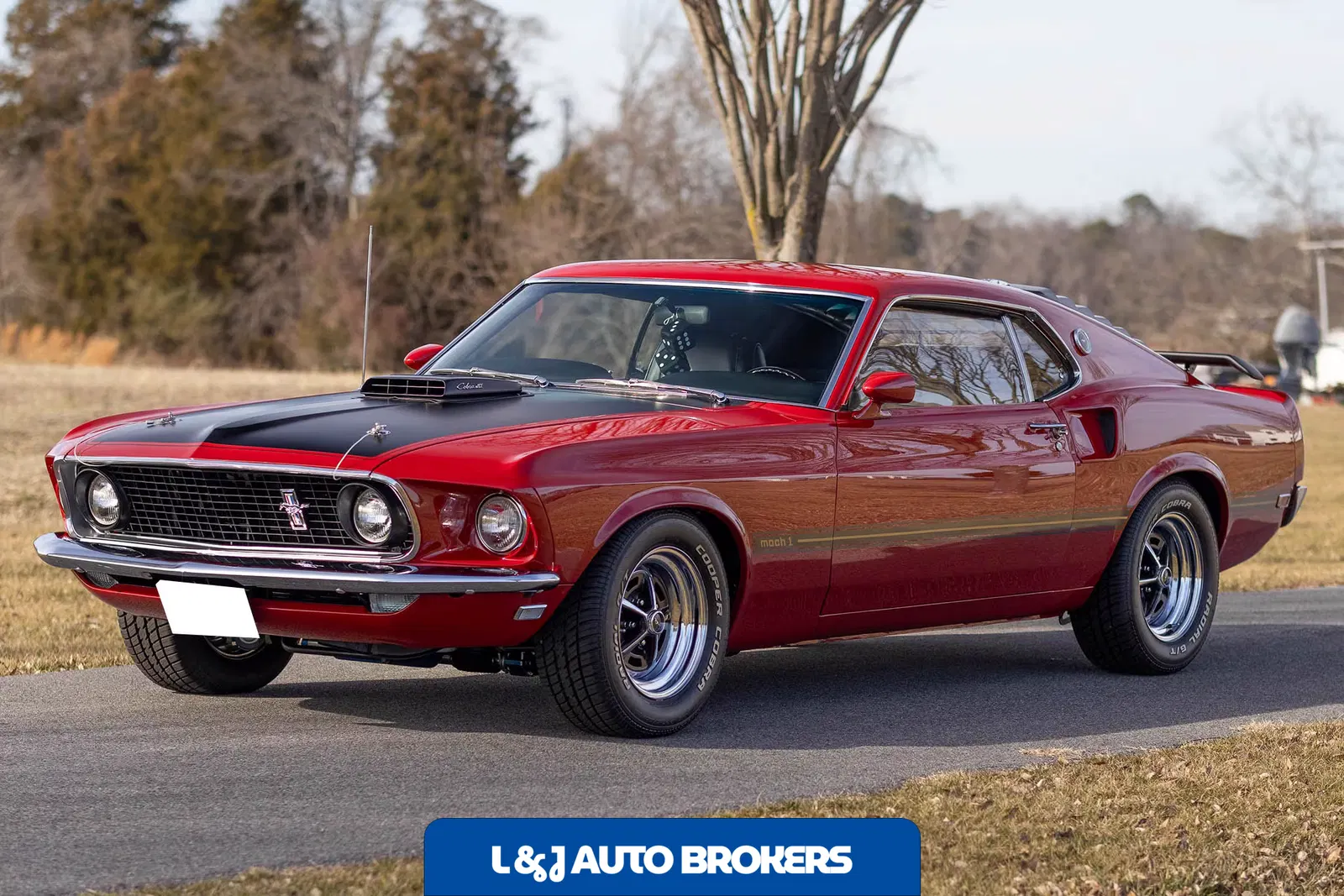 1969 Ford Mustang Mach 1