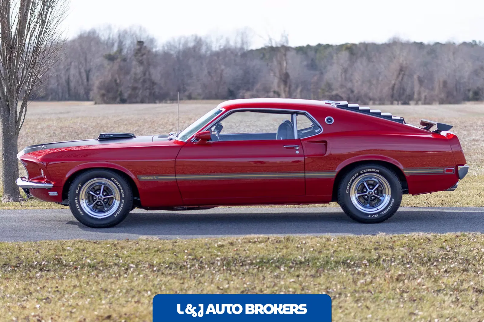 1969 Ford Mustang Mach 1