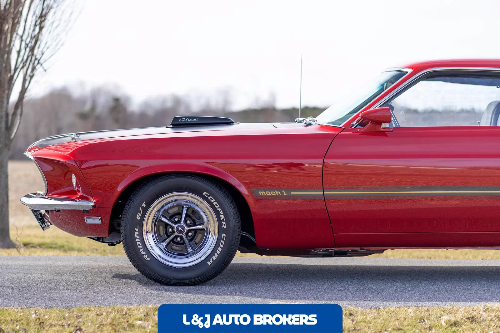 1969 Ford Mustang Mach 1