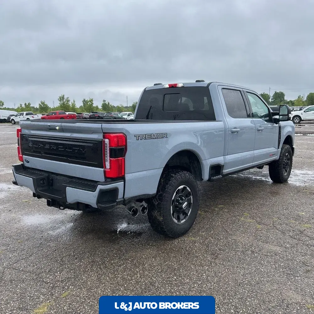 2025 Ford F250 S/D Platinum