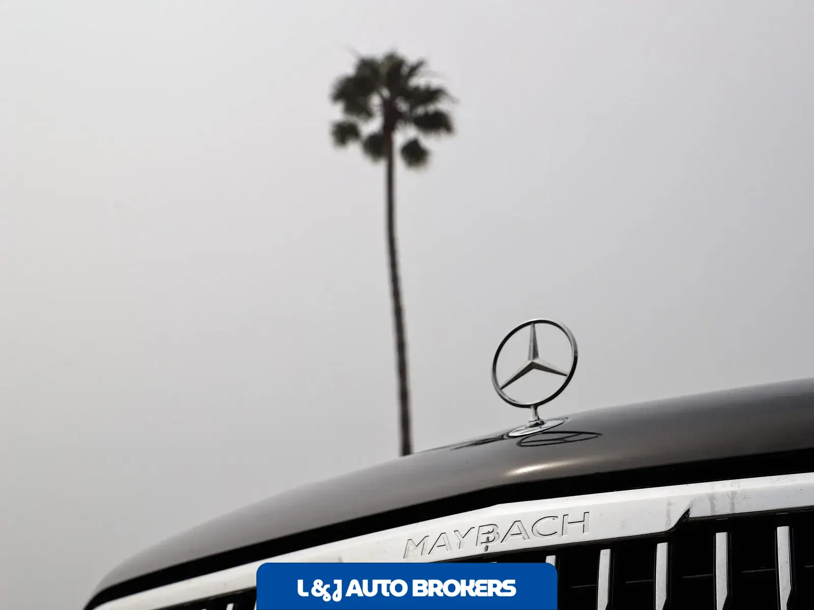 2025 Mercedes-Maybach GLS600