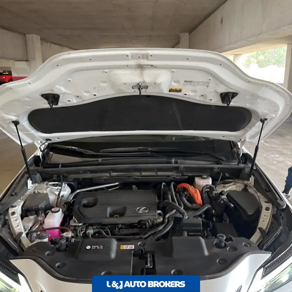 2023 Lexus NX 350h Luxury