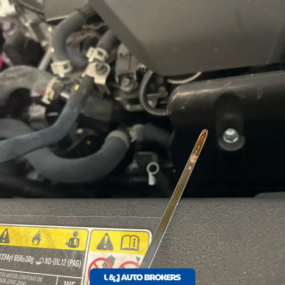 2023 Lexus RX 350 Premium+