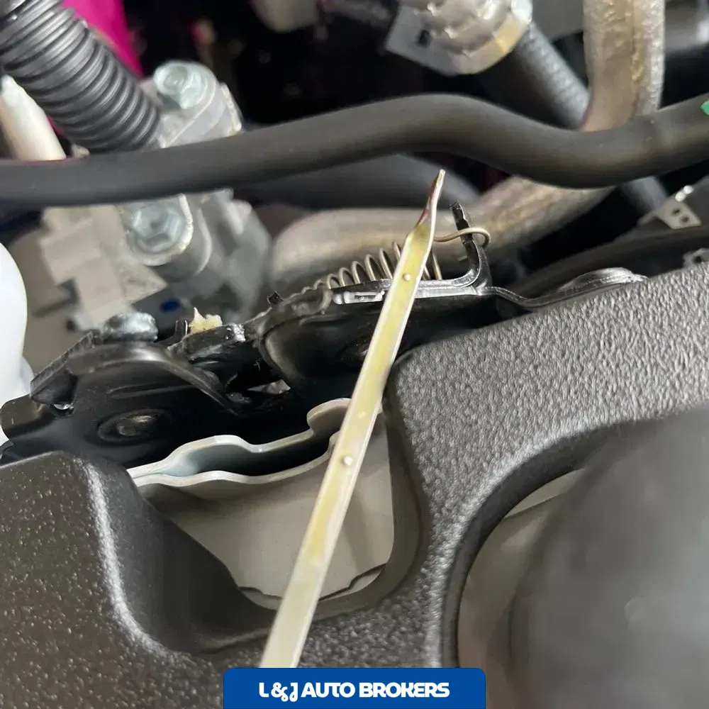 2025 Lexus NX 450h+ Base