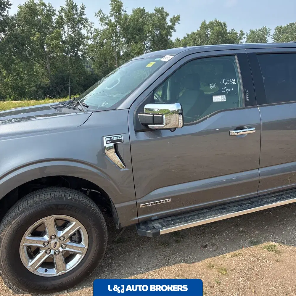 2024 Ford F150 XLT
