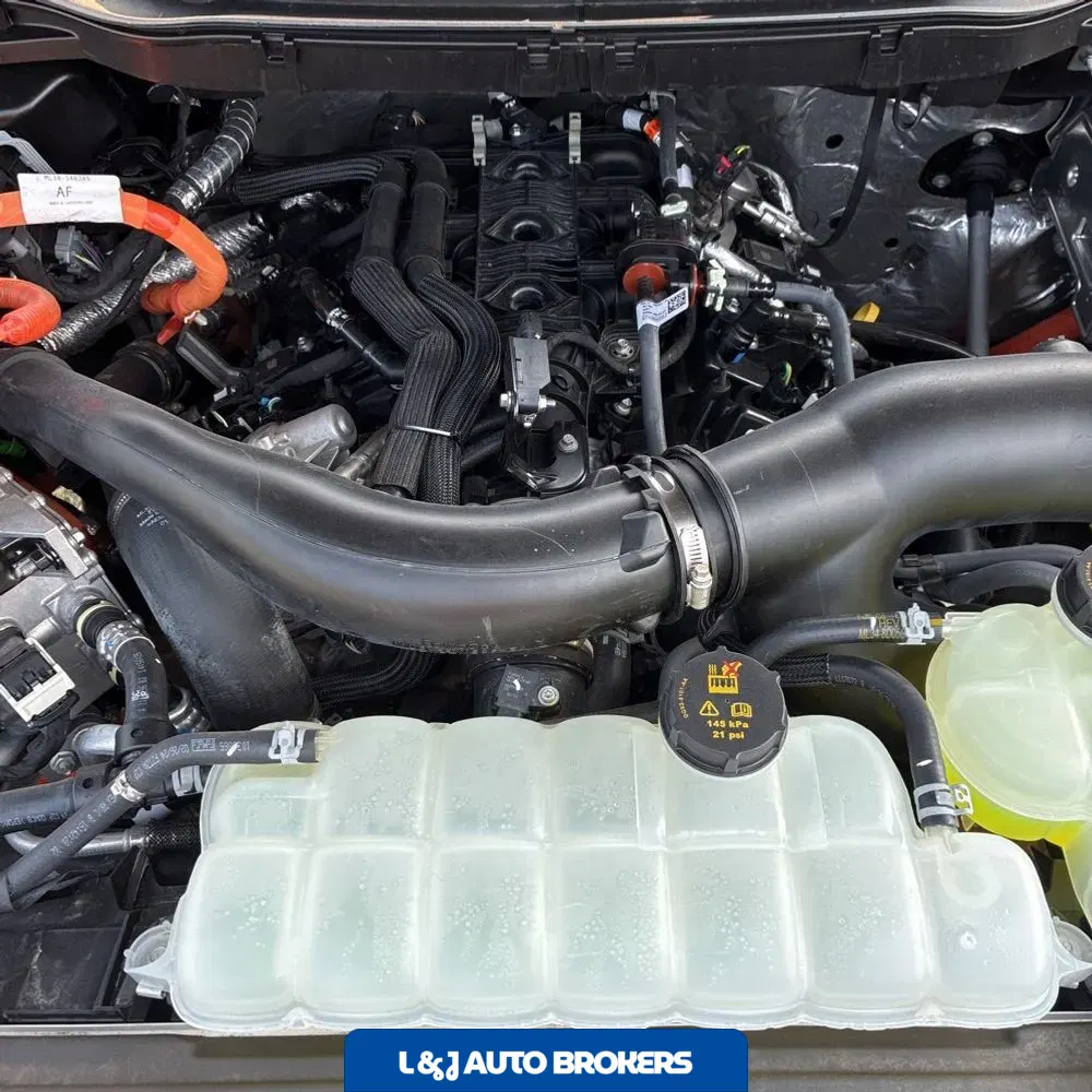 2024 Ford F150 XLT