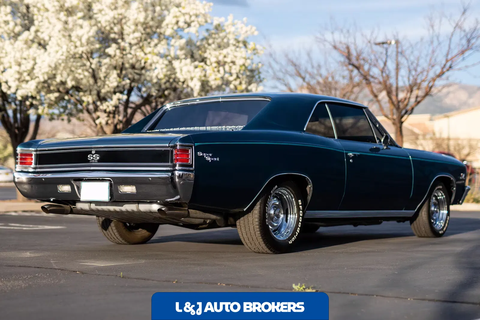 1967 Chevrolet Chevelle Malibu