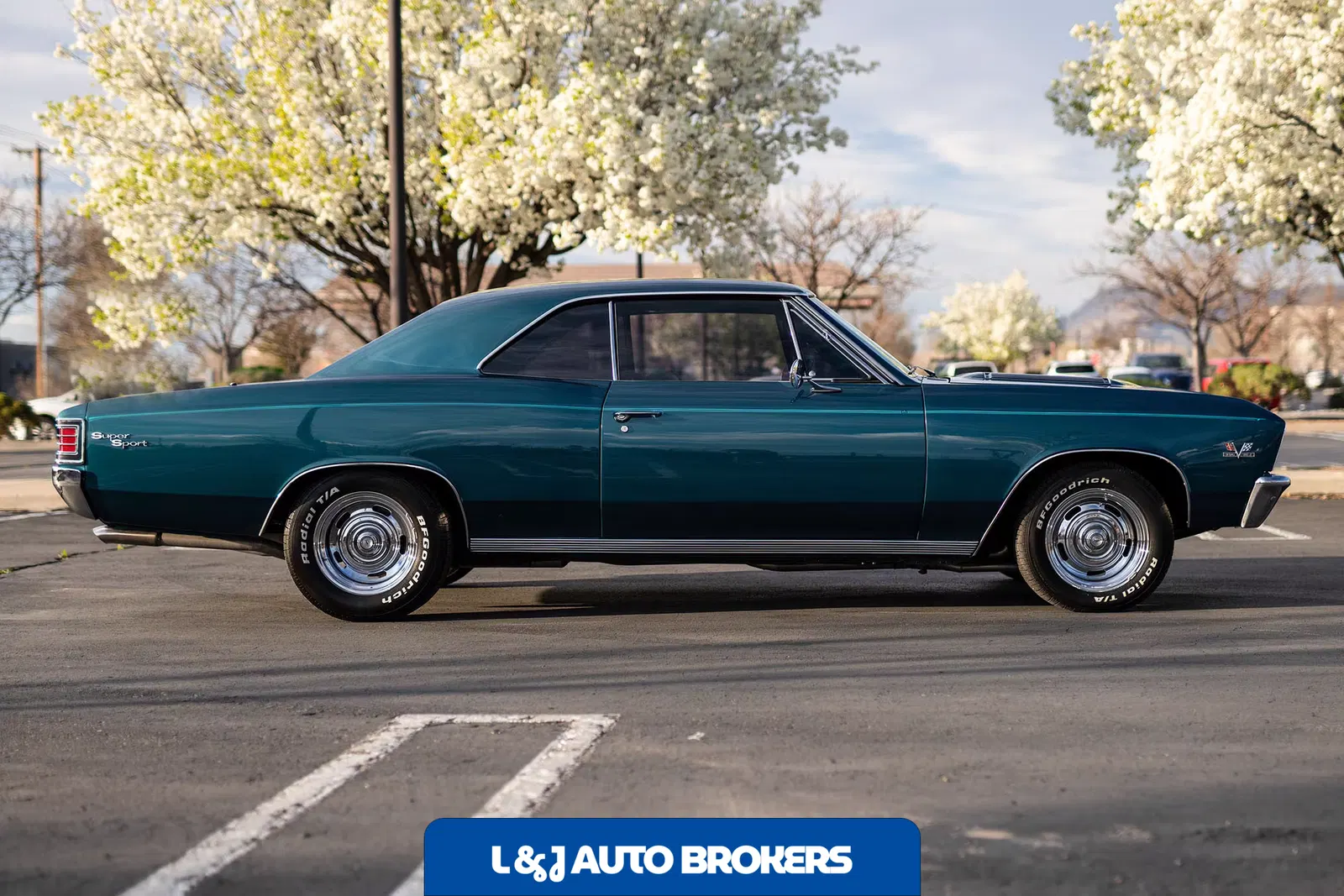 1967 Chevrolet Chevelle Malibu