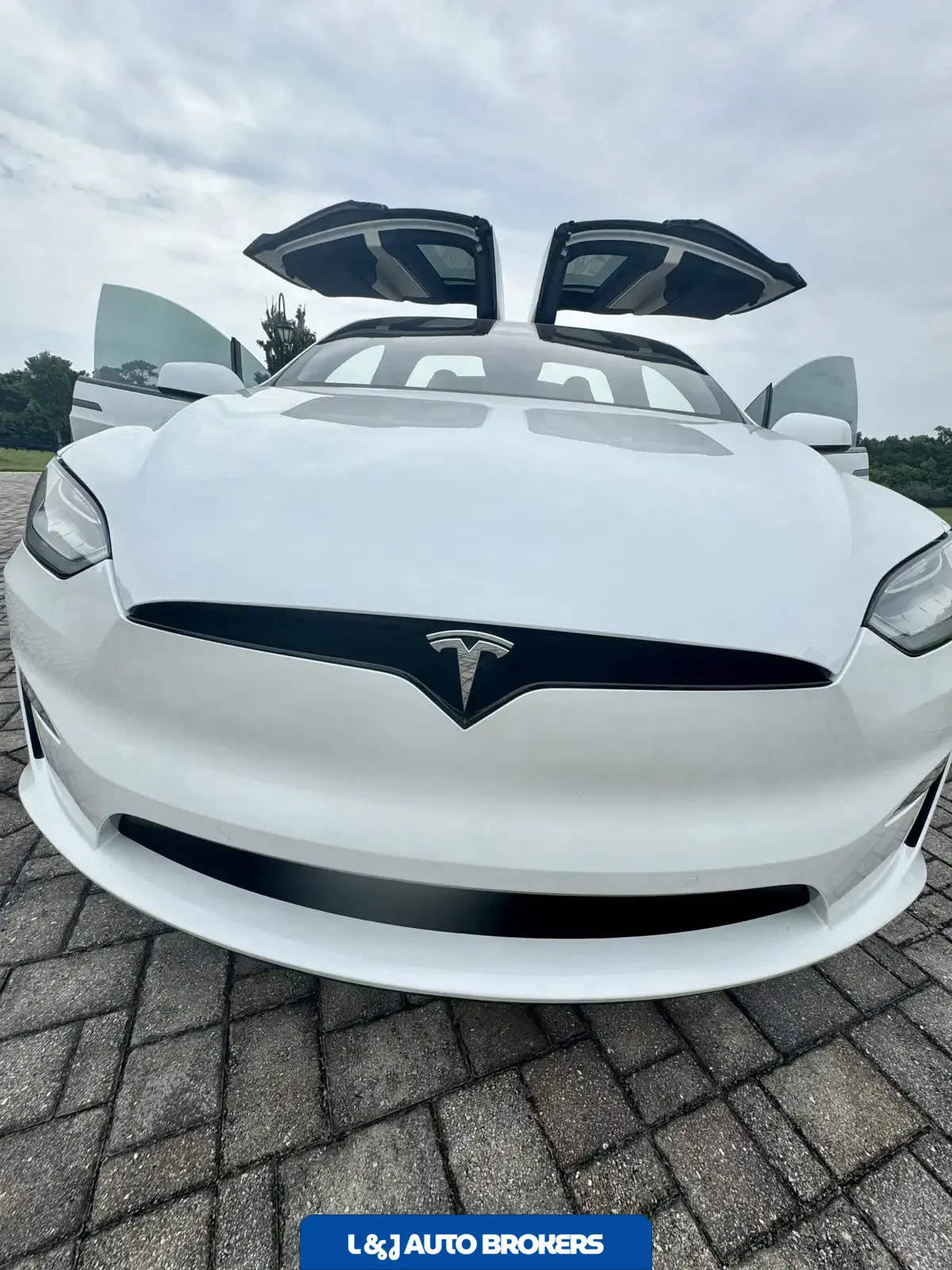 2022 Tesla Model X Plaid