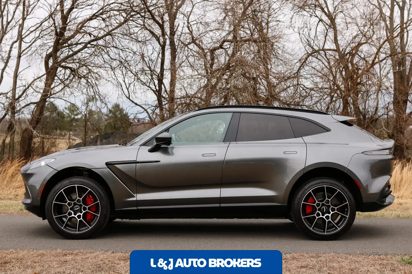 2021 Aston Martin DBX