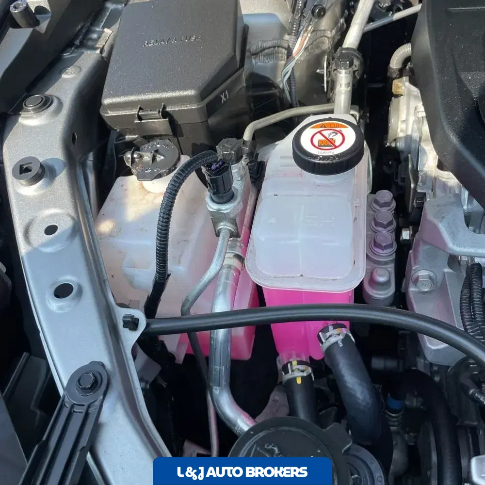 2024 Lexus NX 350h Premium