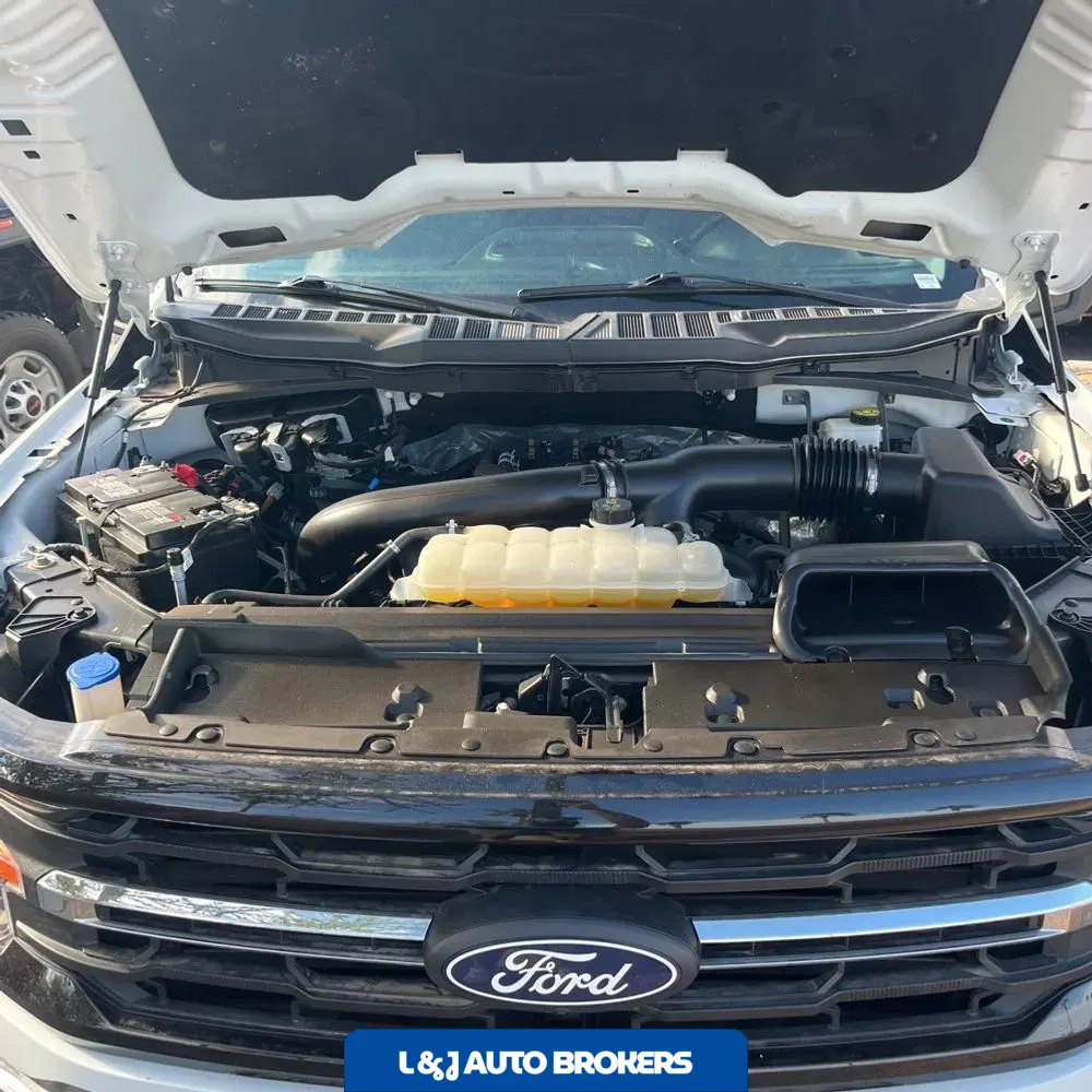 2024 Ford F150 XLT