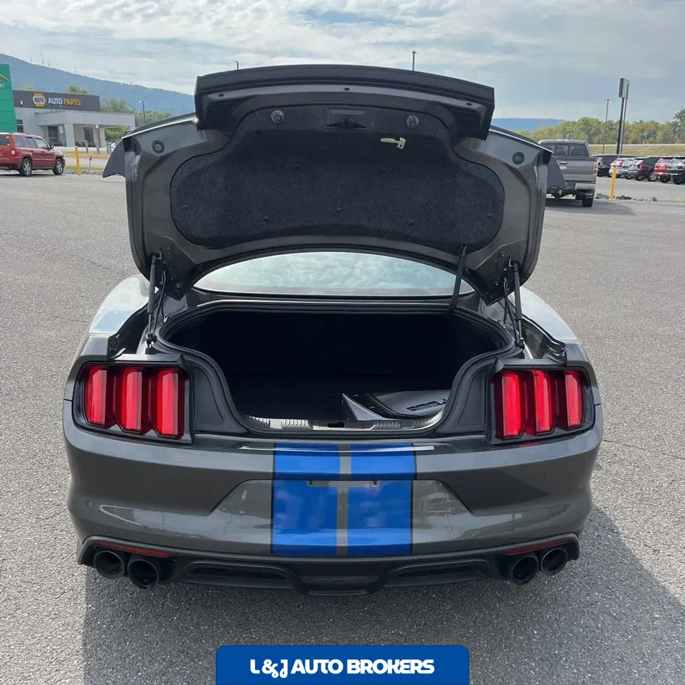 2017 Ford Mustang Shelby GT350