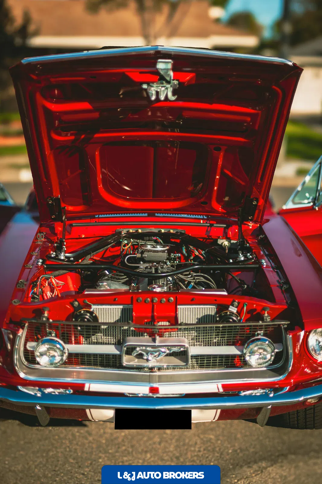 1967 Mustang Fastback "Lightning" 600 HP Custom Build One-Off