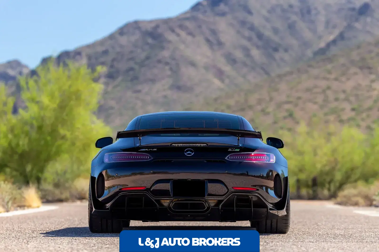 2020 Mercedes-AMG GT R Pro
