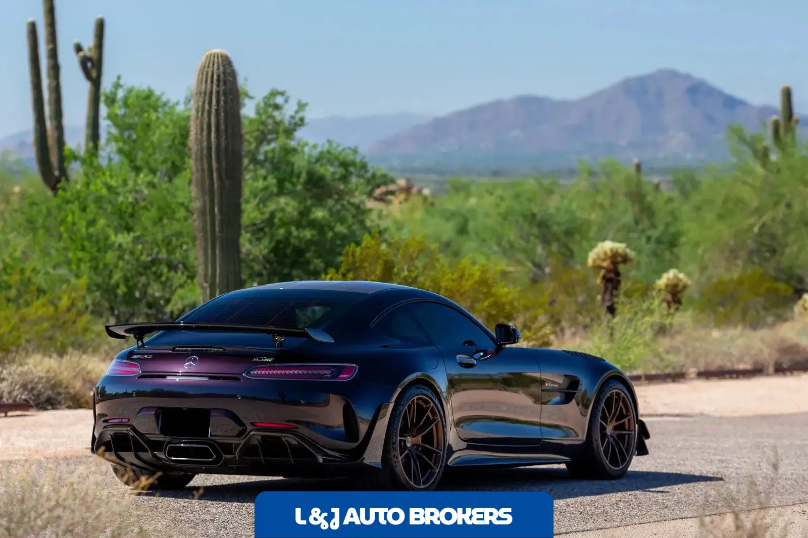 2020 Mercedes-AMG GT R Pro