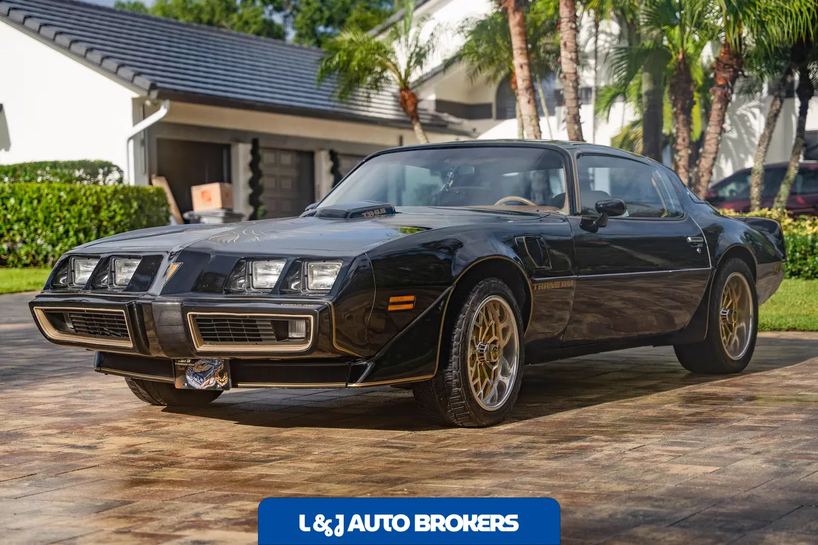 1979 Pontiac Firebird Trans Am Y84 Special Edition