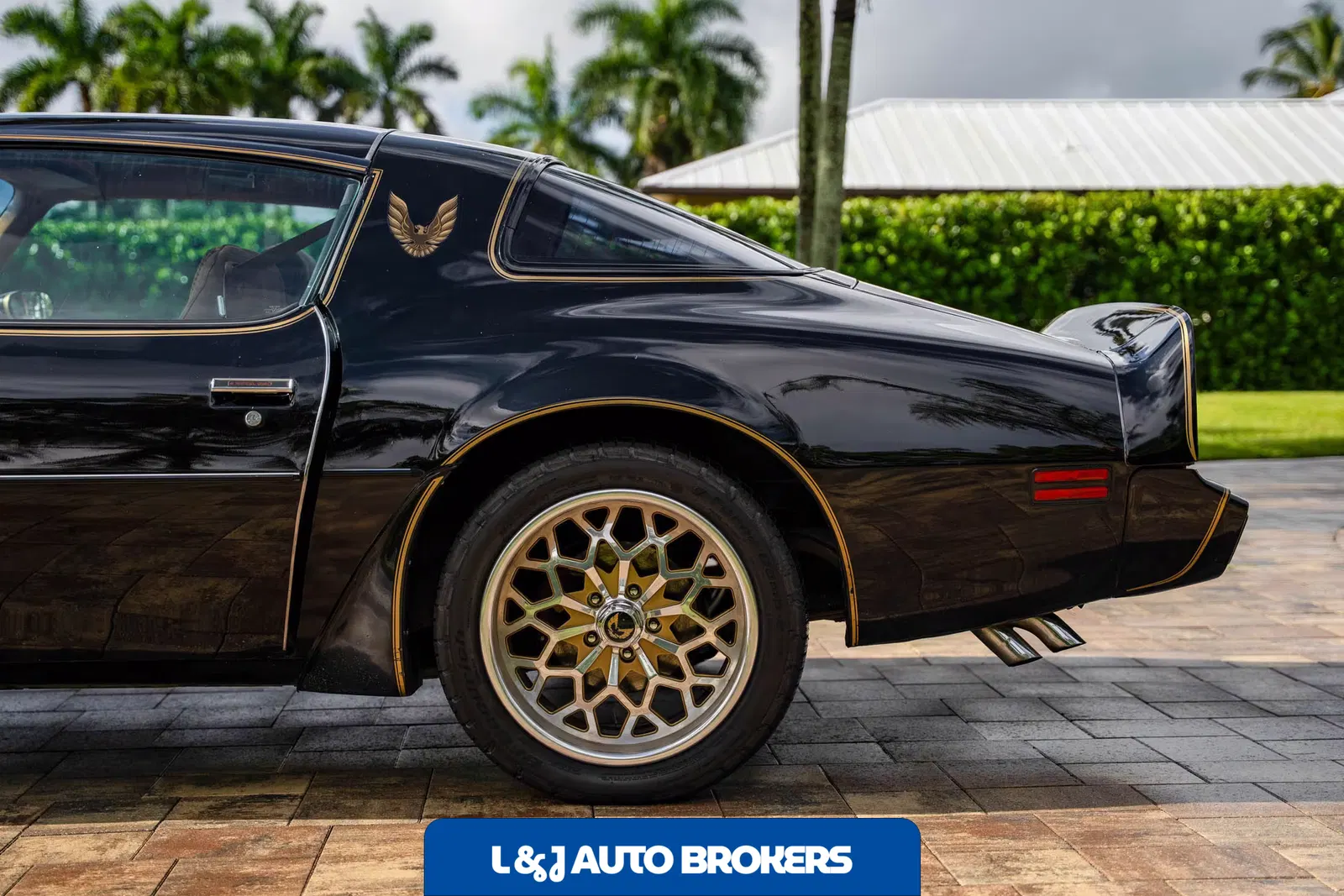 1979 Pontiac Firebird Trans Am Y84 Special Edition