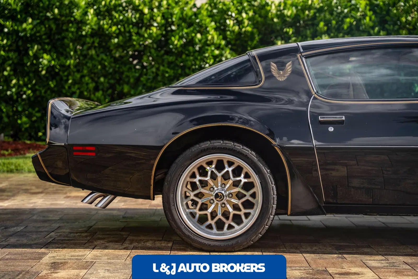 1979 Pontiac Firebird Trans Am Y84 Special Edition