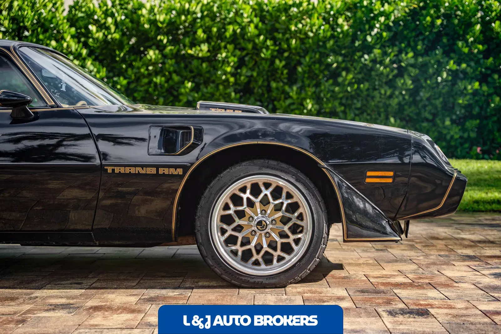 1979 Pontiac Firebird Trans Am Y84 Special Edition