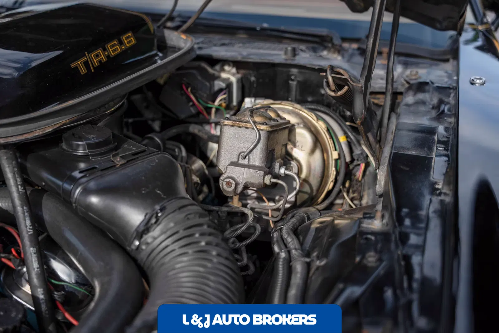 1979 Pontiac Firebird Trans Am Y84 Special Edition