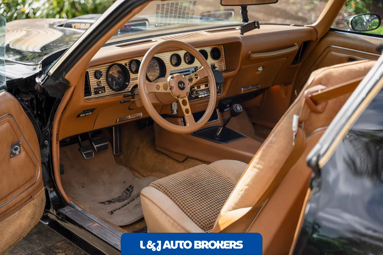 1979 Pontiac Firebird Trans Am Y84 Special Edition