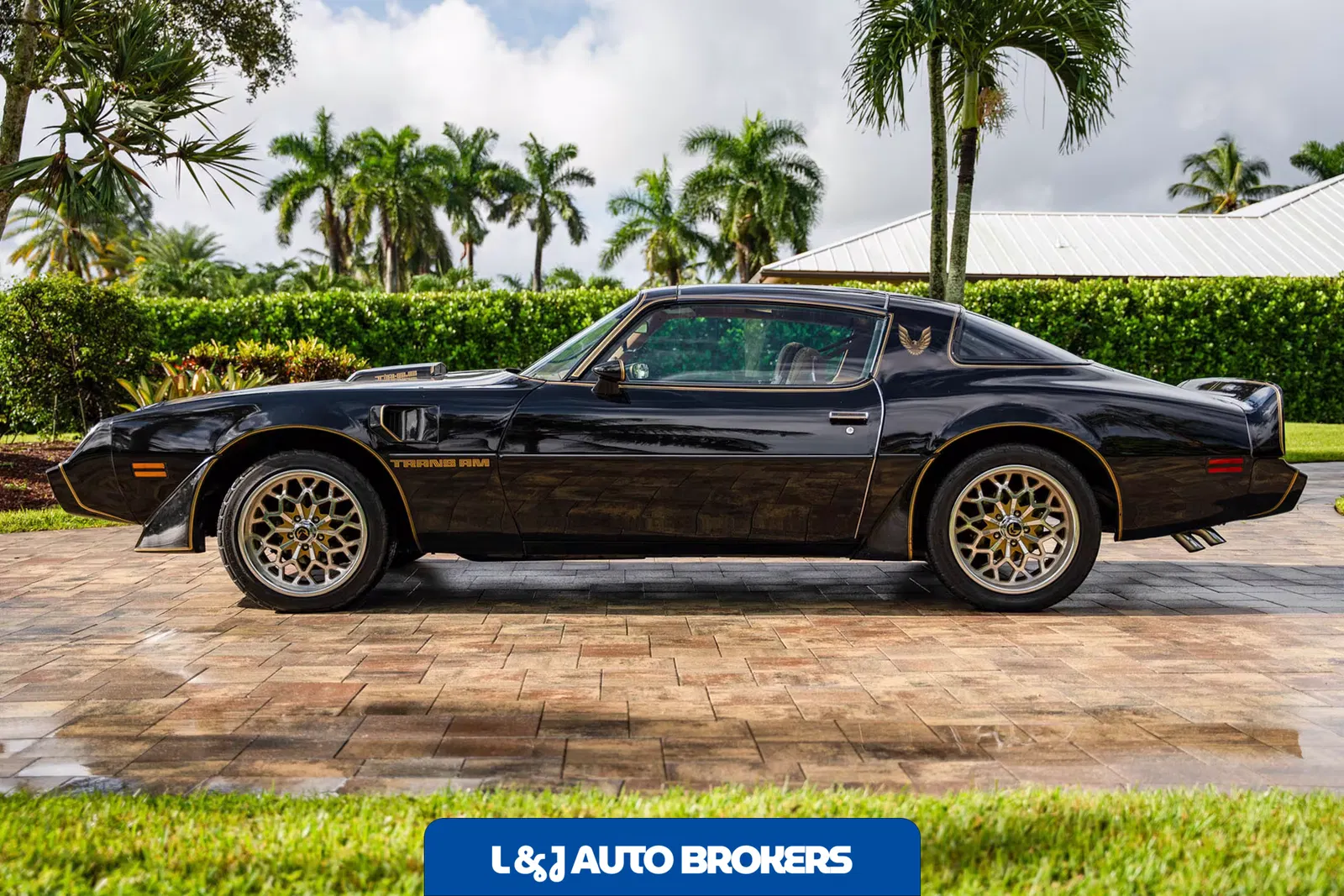 1979 Pontiac Firebird Trans Am Y84 Special Edition