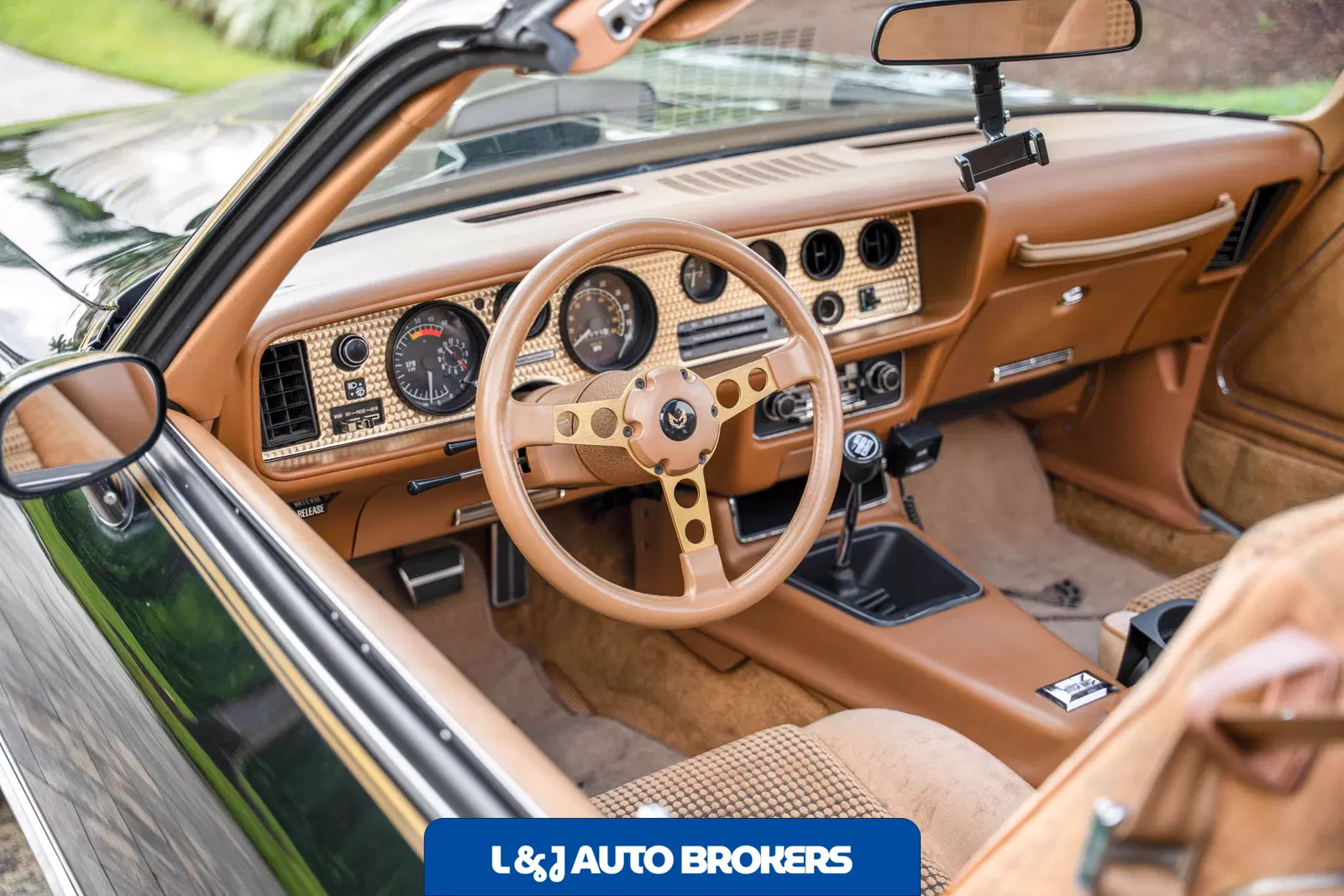 1979 Pontiac Firebird Trans Am Y84 Special Edition