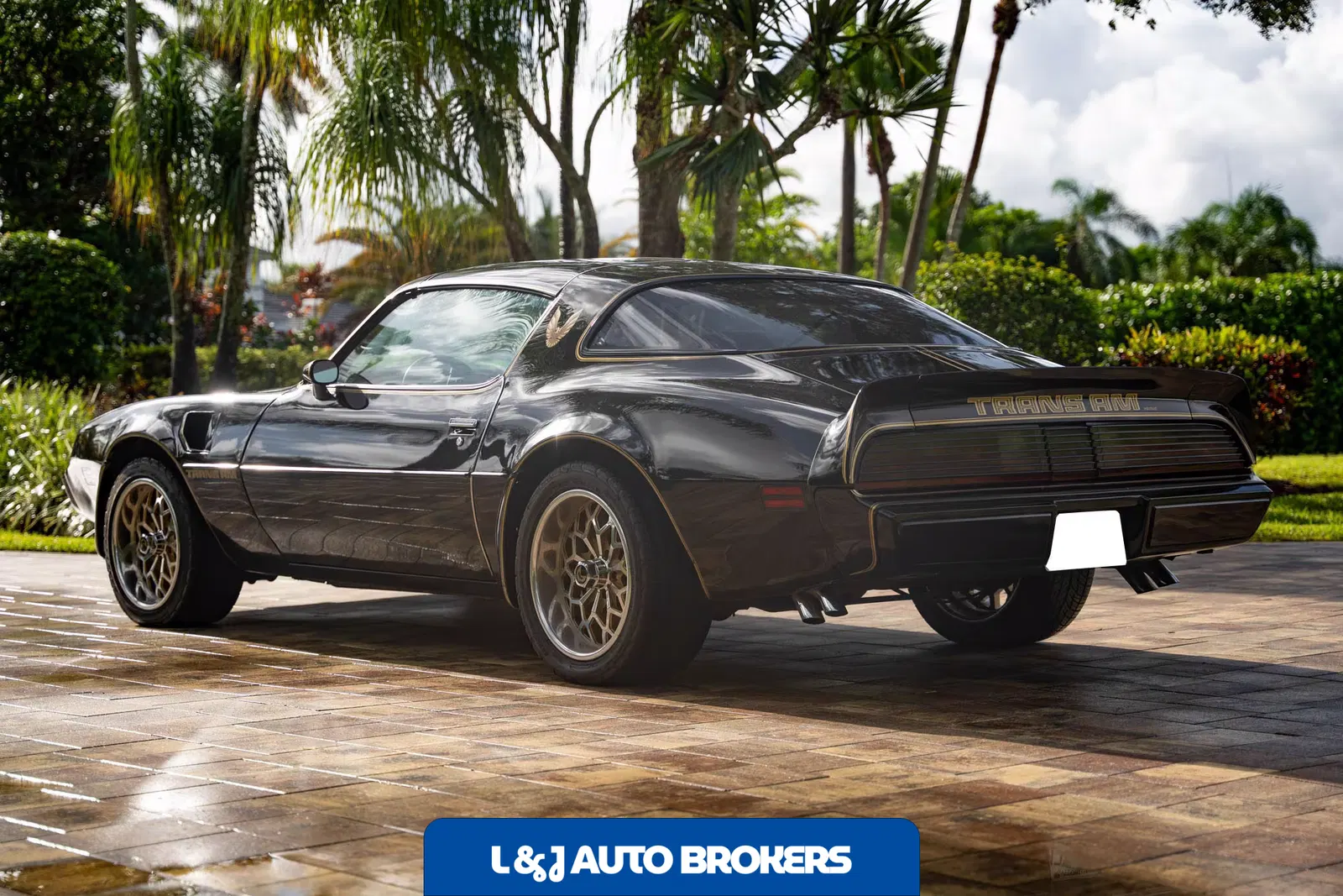 1979 Pontiac Firebird Trans Am Y84 Special Edition