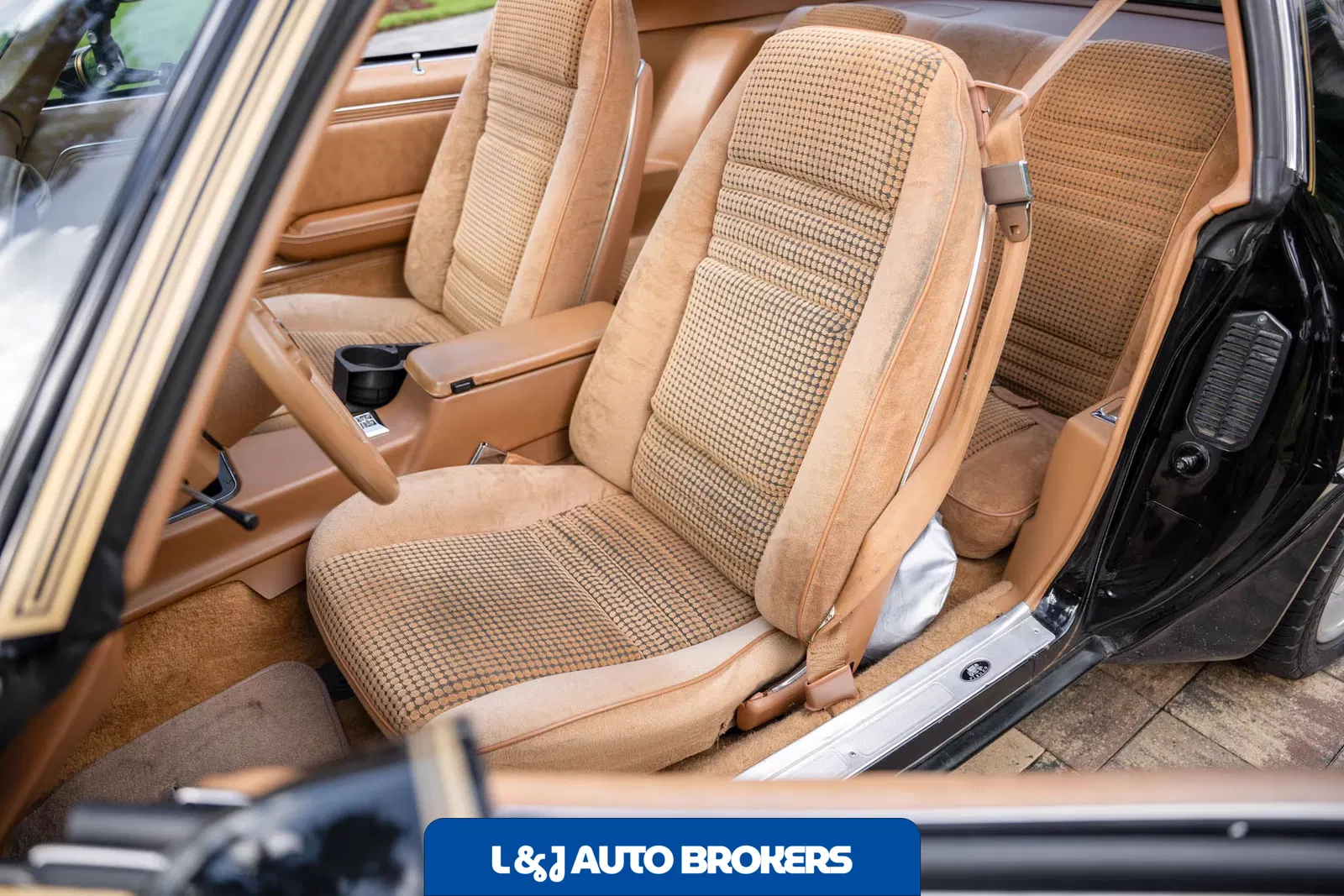 1979 Pontiac Firebird Trans Am Y84 Special Edition