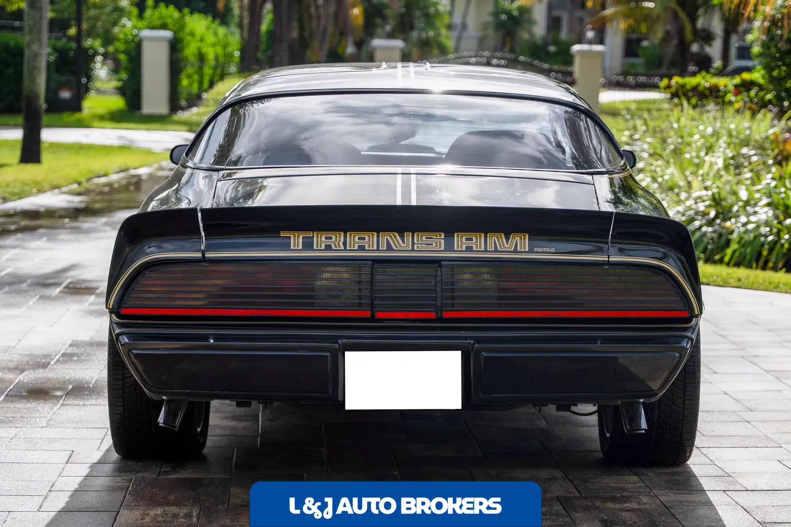 1979 Pontiac Firebird Trans Am Y84 Special Edition