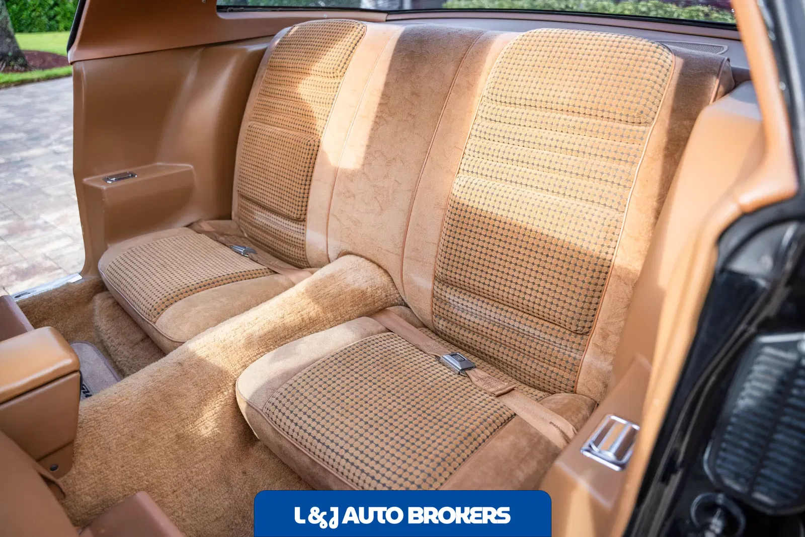 1979 Pontiac Firebird Trans Am Y84 Special Edition