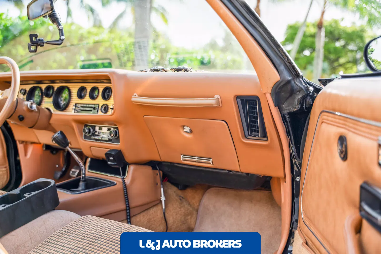 1979 Pontiac Firebird Trans Am Y84 Special Edition