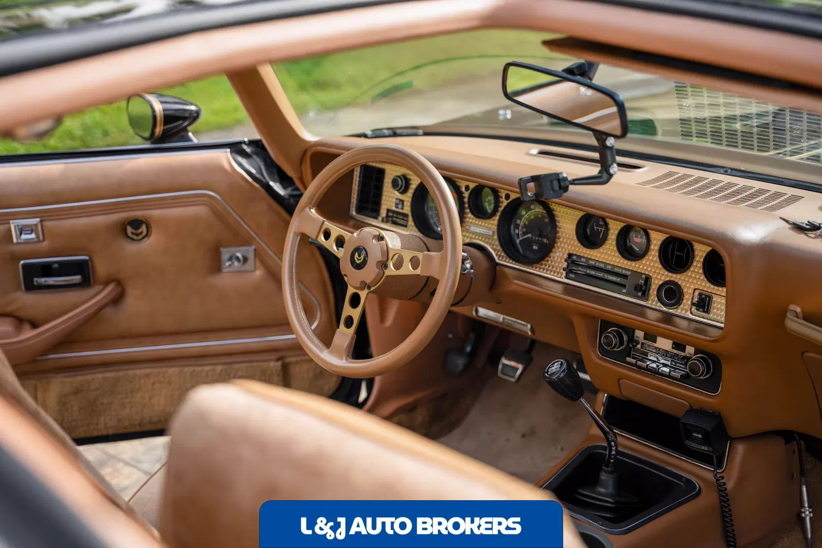 1979 Pontiac Firebird Trans Am Y84 Special Edition