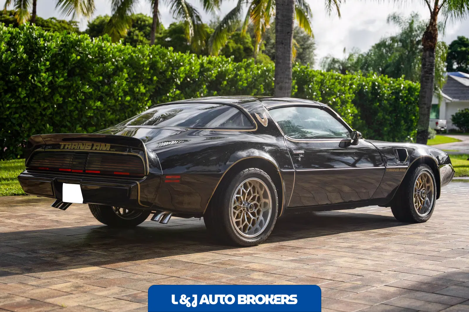 1979 Pontiac Firebird Trans Am Y84 Special Edition