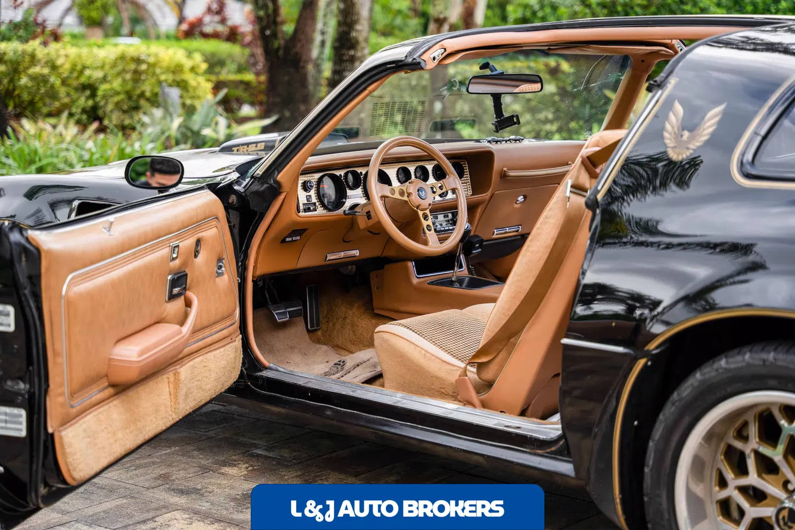 1979 Pontiac Firebird Trans Am Y84 Special Edition