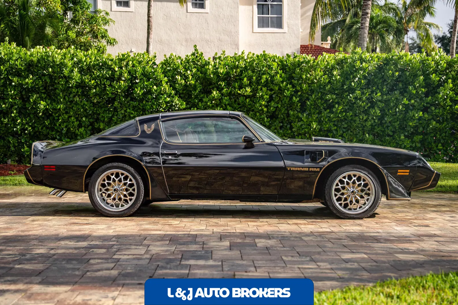 1979 Pontiac Firebird Trans Am Y84 Special Edition