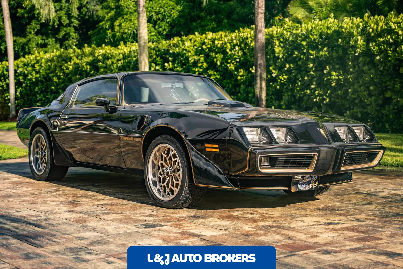 1979 Pontiac Firebird Trans Am Y84 Special Edition