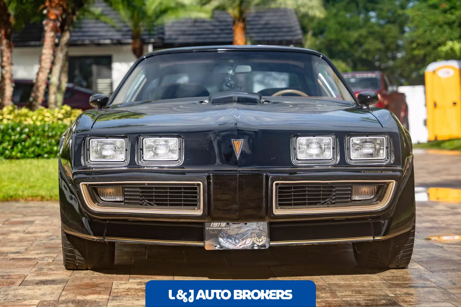 1979 Pontiac Firebird Trans Am Y84 Special Edition