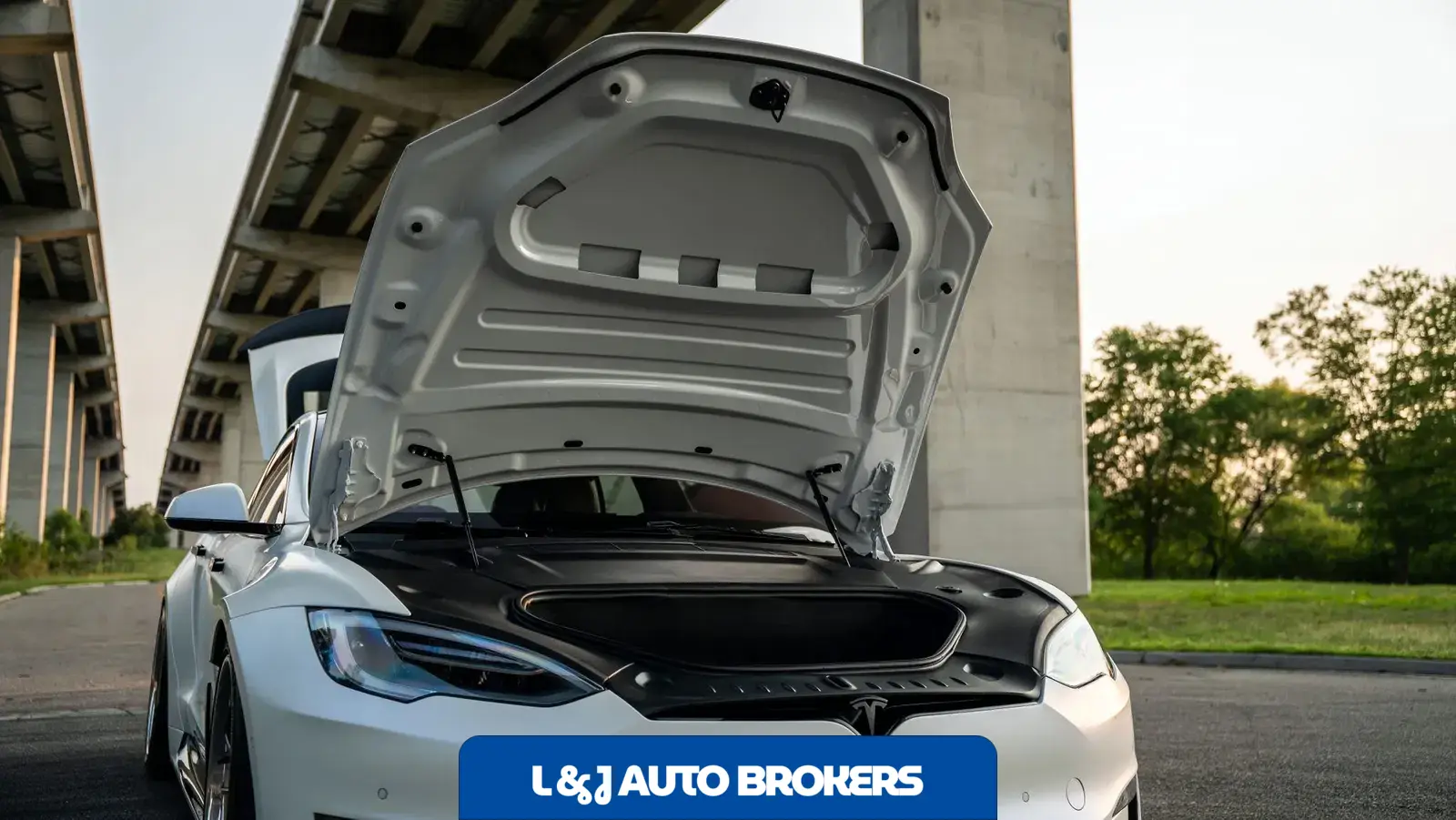 2021 Tesla Model S Plaid Unplugged Performance S-Apex