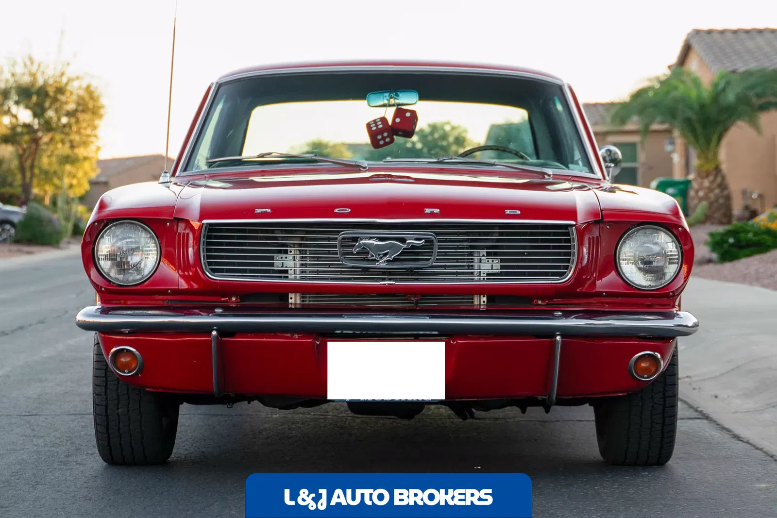 1966 Ford Mustang