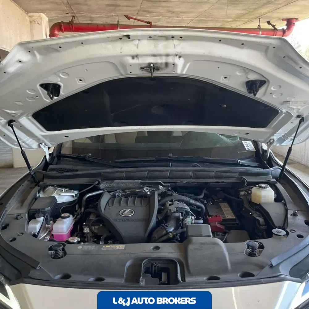 2023 Lexus RX 350 Premium+